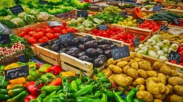 20 excelentes fontes de cálcio de origem vegetal calcio-hortalicas-vegetais