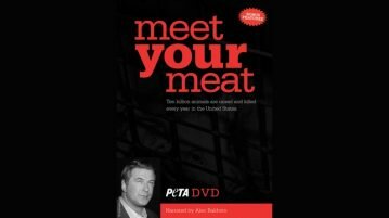 Meet Your Meet – Conheça a sua Carne Meat Your Meat - Conheça a sua Carne