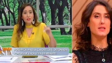 Sonia Abrão opina sobre vaca em reality e relata o sofrimento dos animais na indústria sonia e paola