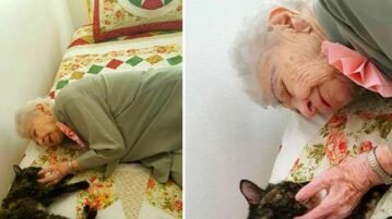 Idosa pede para adotar um gato ao comemorar seu 103º aniversário adotar um gato