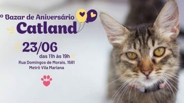 4º Bazar de Aniversário Catland será realizado no próximo sábado em SP bazar de aniversário Catland