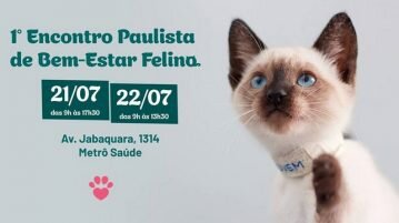 Catland promove 1º Encontro Paulista de Bem-Estar Felino encontro paulista de bem-estar felino