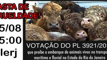 Votação do PL 3921/2018 que proíbe o embarque de animais no RJ PL 39212018