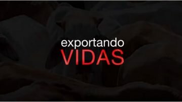 Exportando Vidas exportando vidas