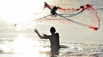 Pesquisa descobre que 46% do plástico oceânico é feito de redes de pesca descartadas redes de pesca