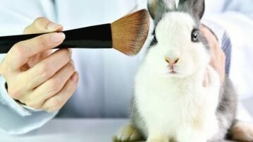 A verdade sobre testes em animais na indústria de cosméticos testes em animais
