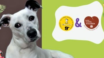 Eventos veganos ou com opções beneficiam animais e apontam crescimento do veganismo crescimento do veganismo