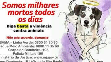 Confira os principais eventos veganos ou com opções deste fim de semana eventos veganos