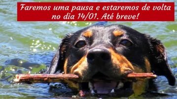 Férias: uma pausa necessária para manter a saúde férias