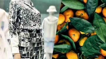 Empresa italiana está fazendo seda vegana sustentável de frutas cítricas seda vegana