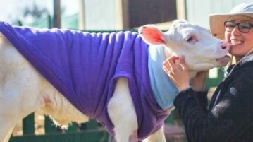Como os empreendedores veganos socialmente conscientes estão crescendo cada vez mais empreendedores veganos